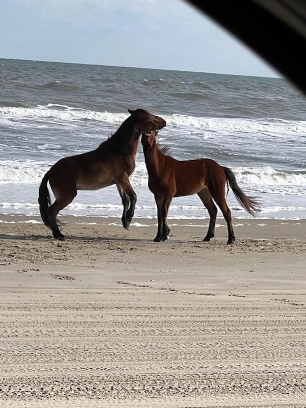 Wild Horse Inn Corolla Exterior photo