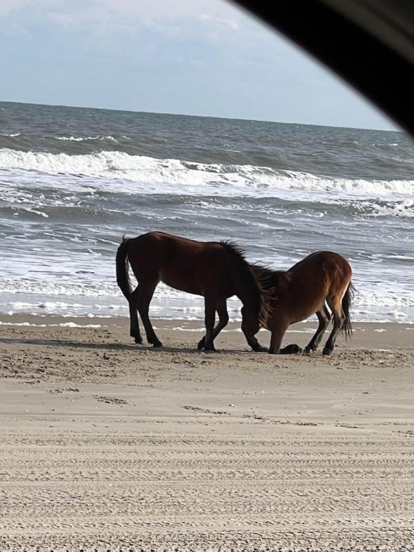 Wild Horse Inn Corolla Exterior photo